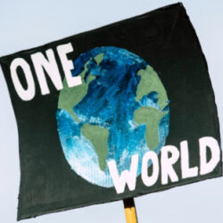 One World 2